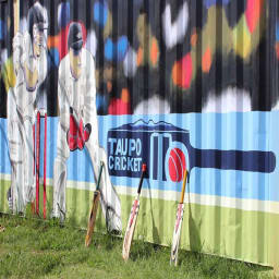 Taupo Cricket Association logo