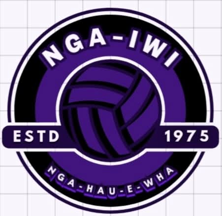 Nga-Iwi Netball Club Carterton logo