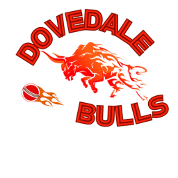 Dovedale Cricket Club logo
