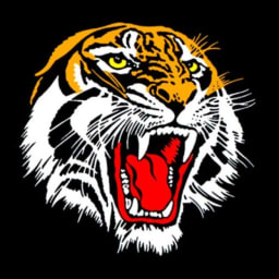 Metropolitan Cricket Club logo