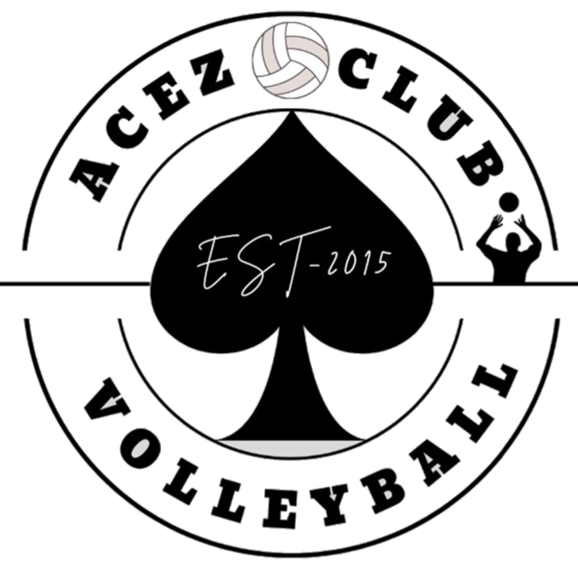 Acez Volleyball Club logo
