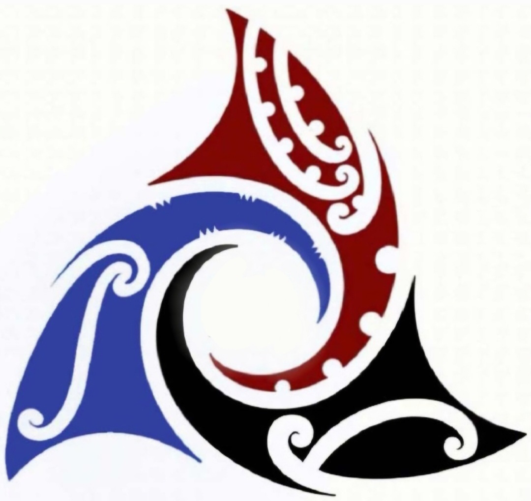 Waikohu Sports Club logo