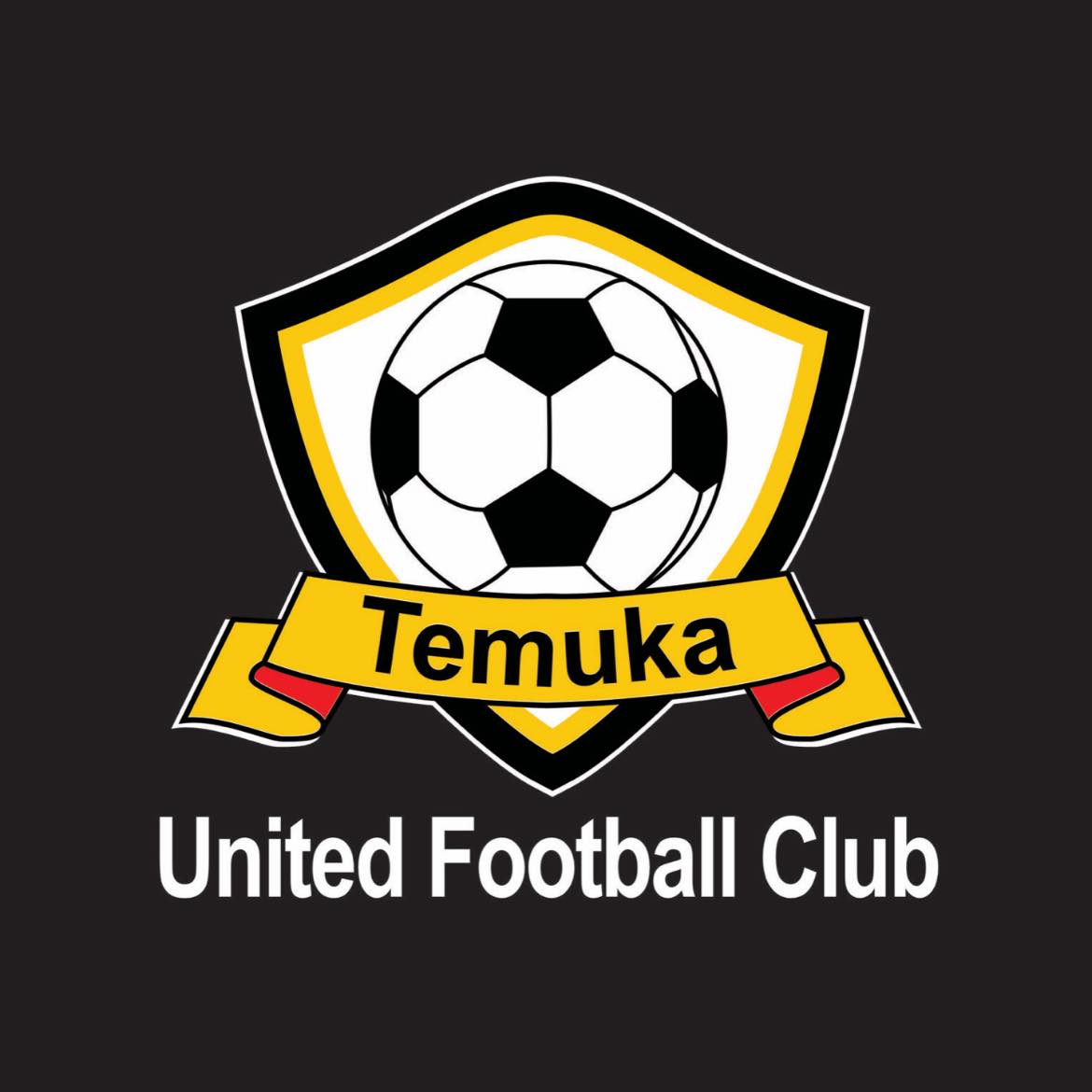 Temuka United Football Club logo