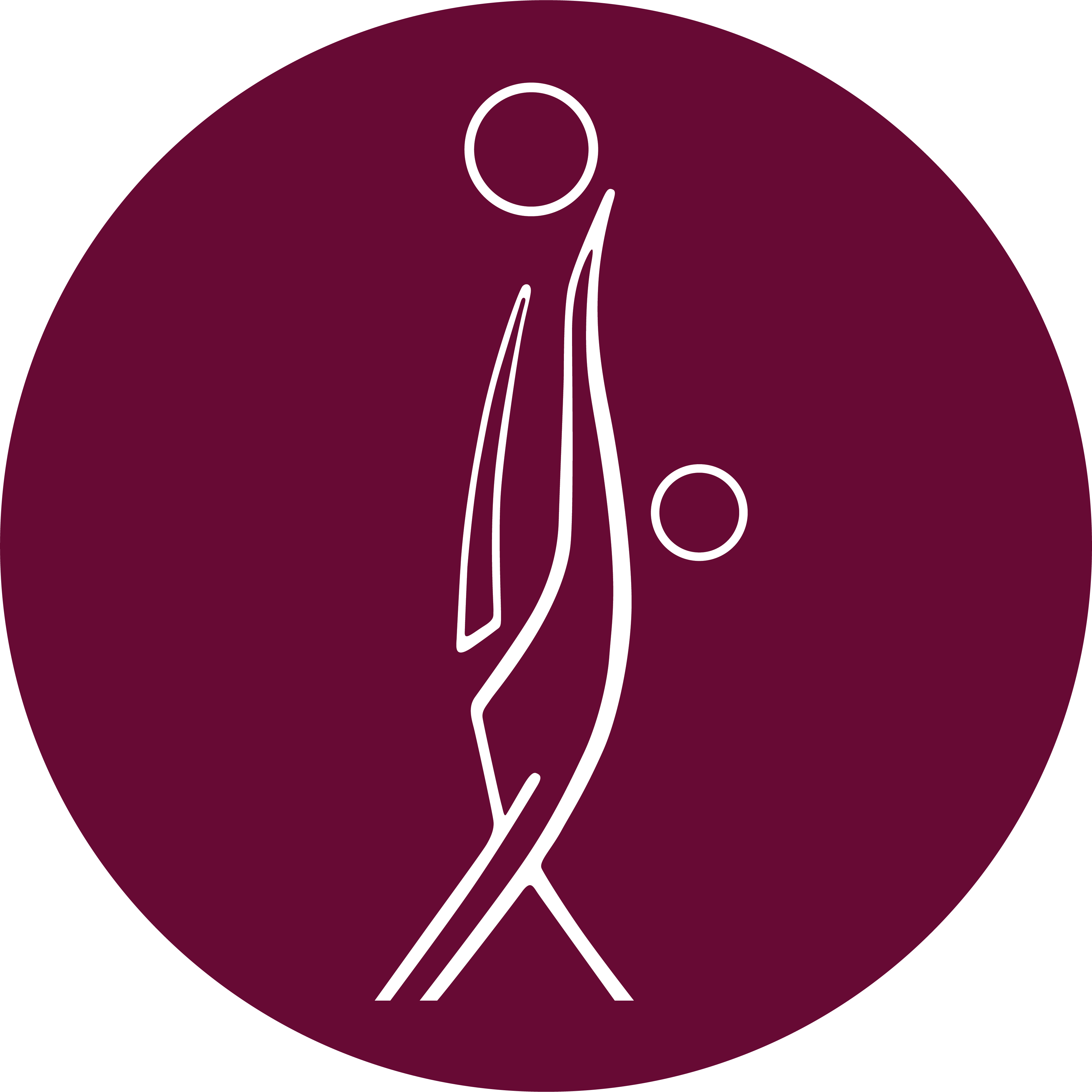 Selwyn Netball Centre logo