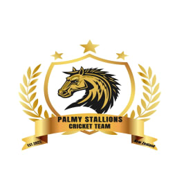 Palmy Stallions logo