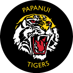 PAPDOM logo
