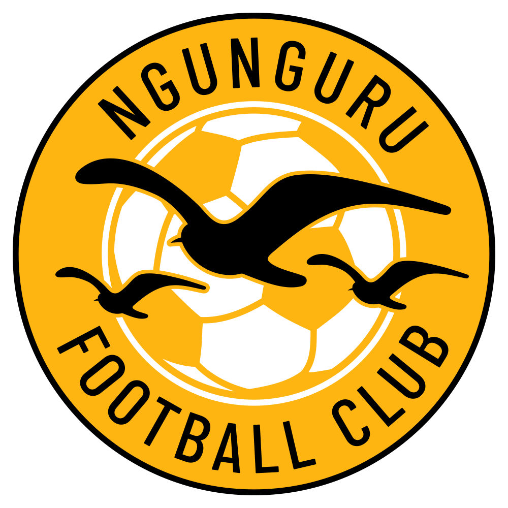 Ngunguru Football Club logo