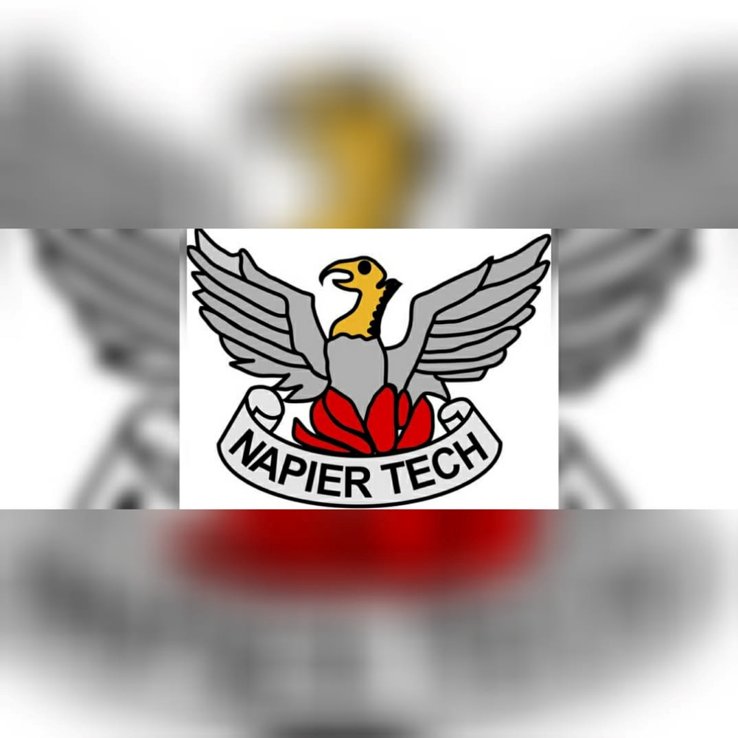 Napier Tech Netball Club logo