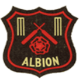 Albion Junior Cricket Club (DN) logo