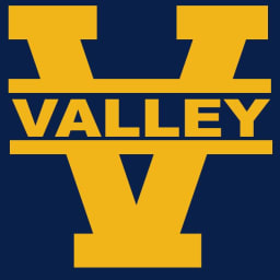 Valley Cricket Club logo