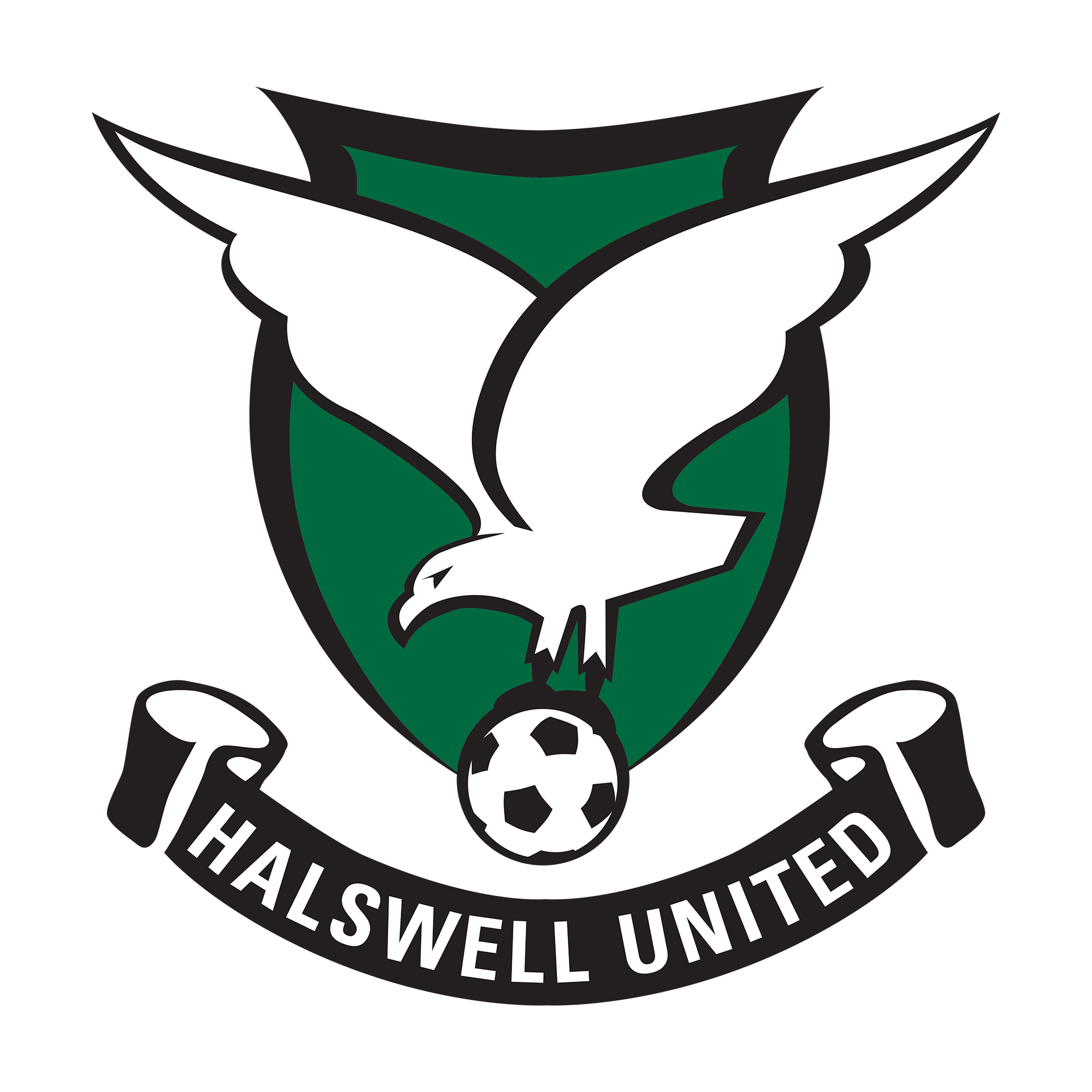 Halswell United AFC logo