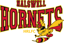 Halswell Hornets logo