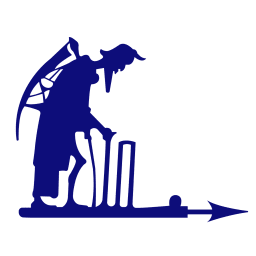 Hutt District Cricket Club logo