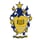 FIS logo