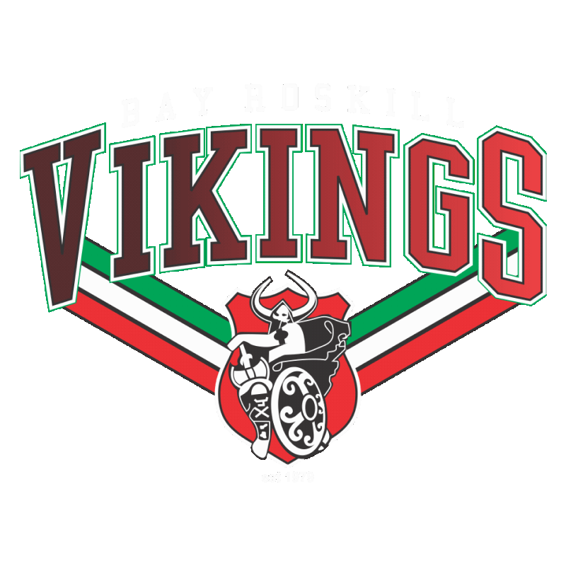 Bay Roskill Vikings logo