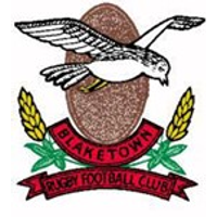 Blaketown logo