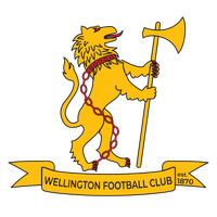 Wellington Football Club Inc logo