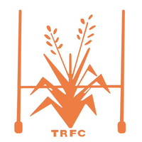 Tinwald logo