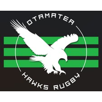 Otamatea Hawks logo