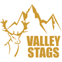 Valley Stags Rugby Club logo