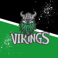 Riversdale/Waikaka Vikings logo